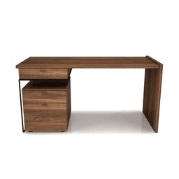 Nagri 1 desk — photo 3